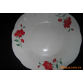 Haonai 210560 indian dinner sets with decal/elegance fine porcelain dinner plate